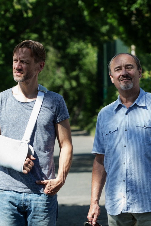 Případ pro malíře постер