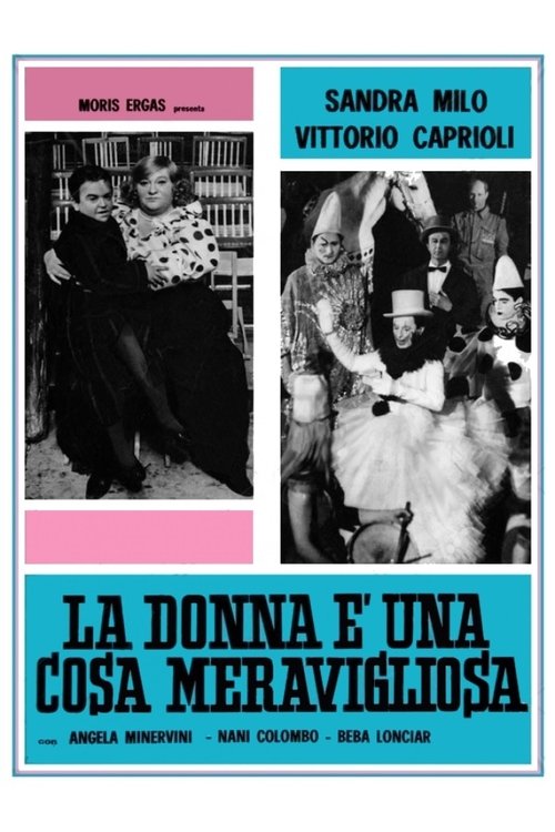 La donna è una cosa meravigliosa постер