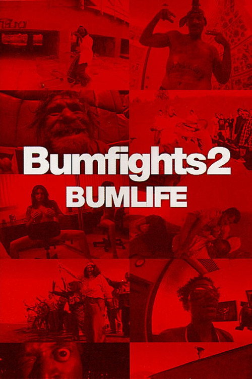 Bumfights Vol. 2: Bumlife постер