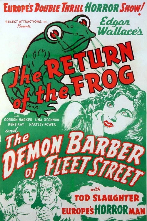 The Return of the Frog постер