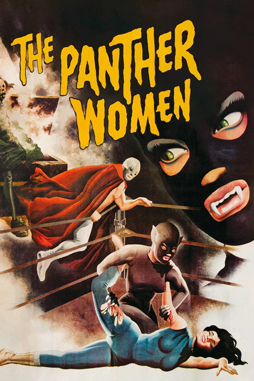 Las mujeres panteras постер