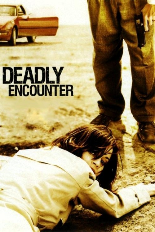 A Deadly Encounter постер