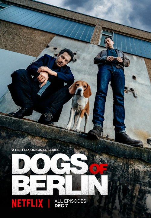 Dogs of Berlin постер