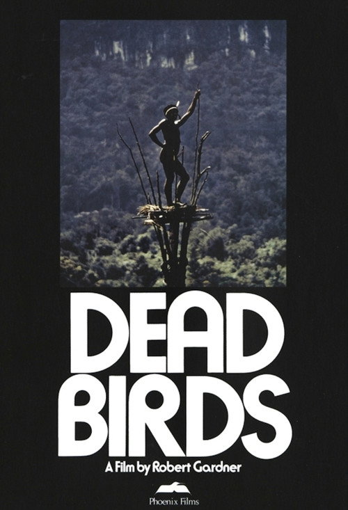 Dead Birds постер