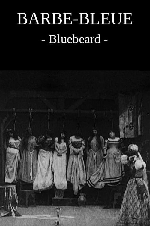 Bluebeard постер