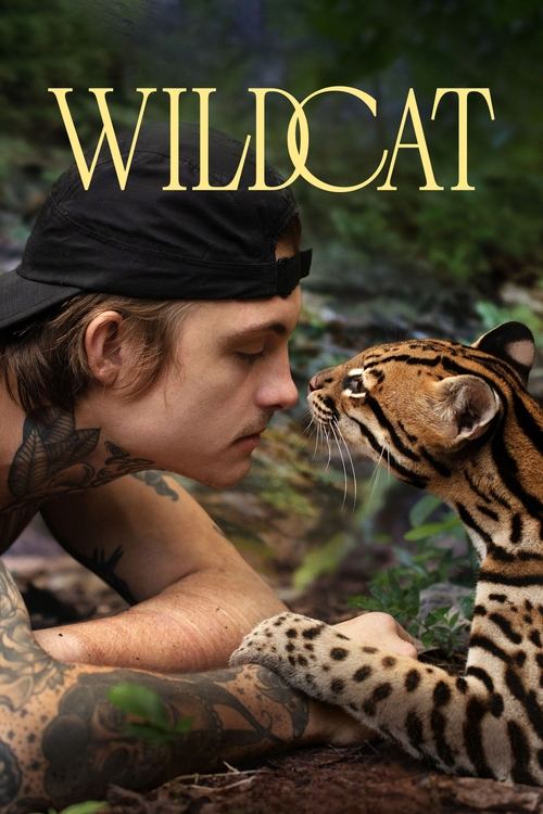 Wildcat постер