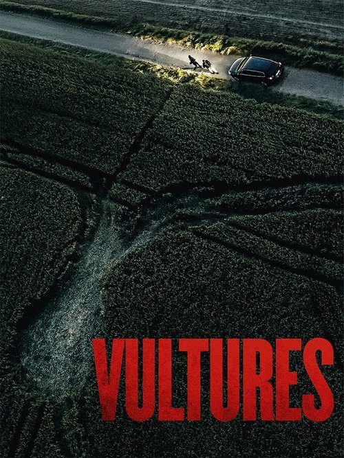 Vultures постер