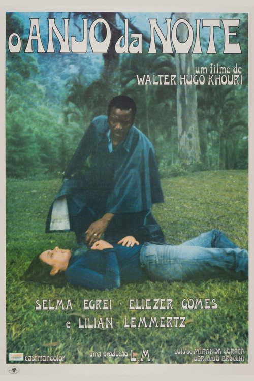 Ангел ночи постер