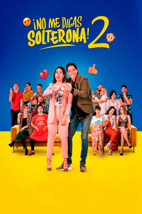 Don't Call Me Spinster 2 постер