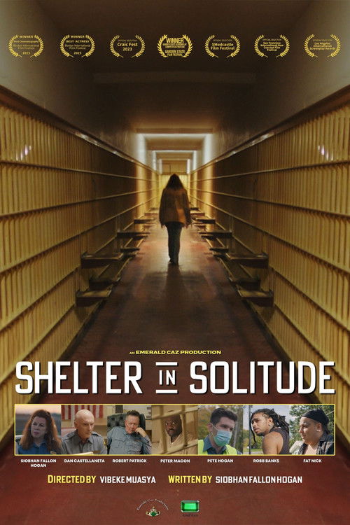 Shelter in Solitude постер