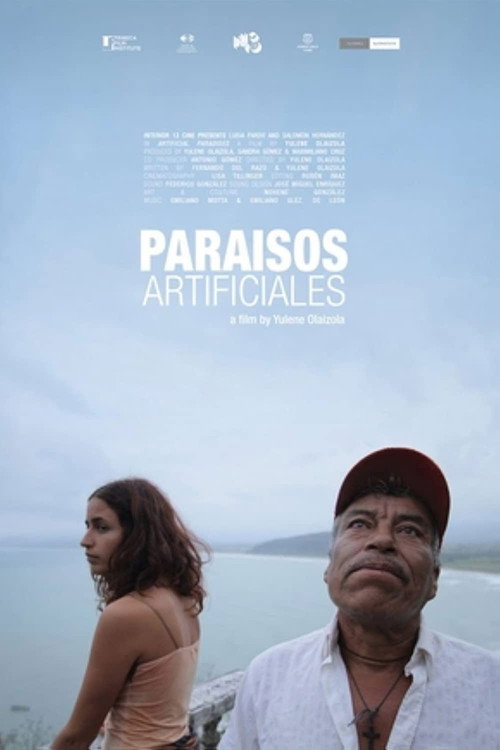 Paraísos artificiales постер