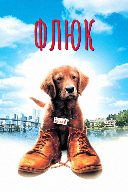 Флюк постер