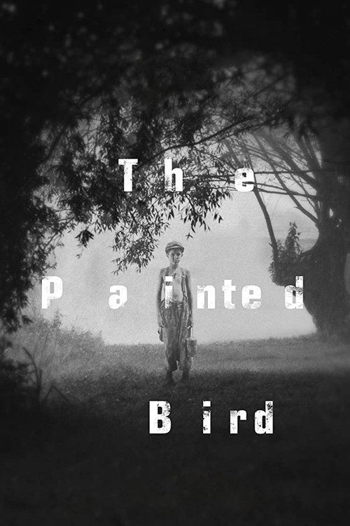 The Painted Bird постер