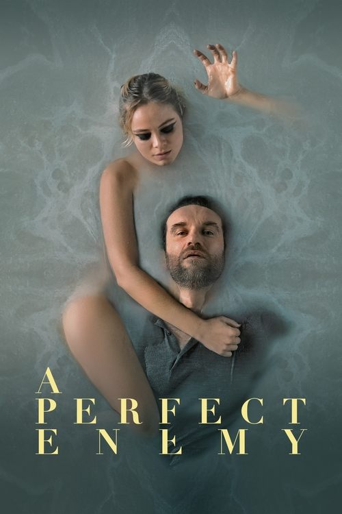 A Perfect Enemy постер