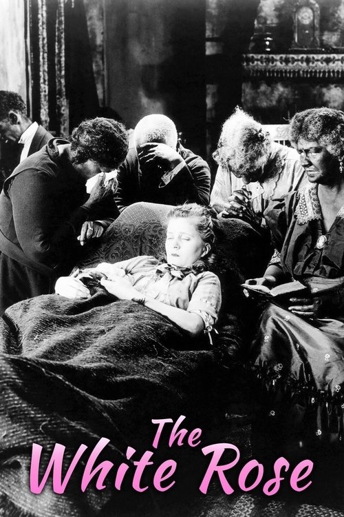 The White Rose постер