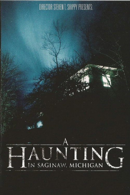 A Haunting in Saginaw, Michigan постер