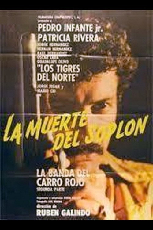 La muerte del soplón постер