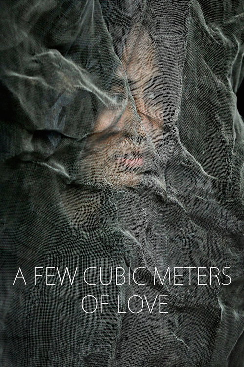 A Few Cubic Meters of Love постер