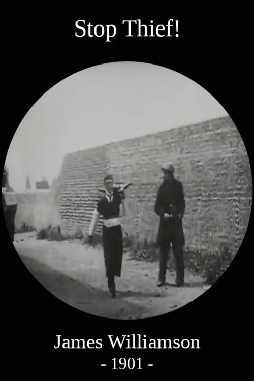 Stop Thief! постер