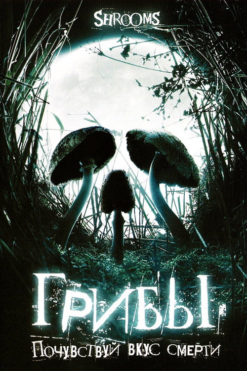Грибы постер