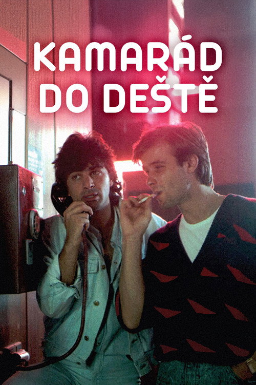 Kamarád do deště постер