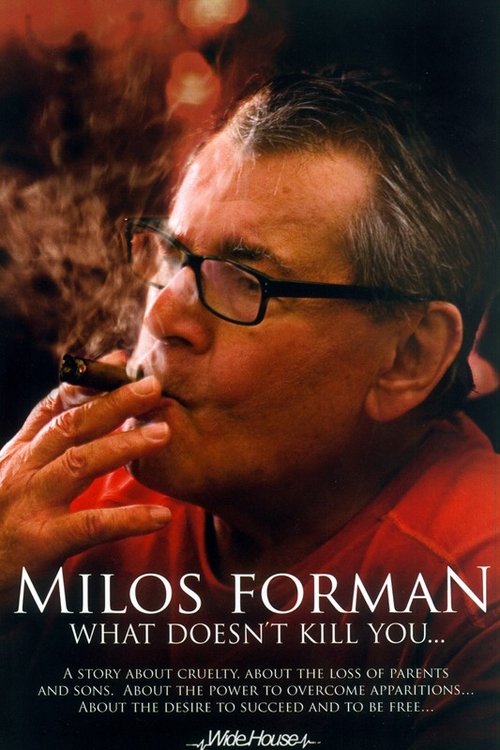 Miloš Forman: What Doesn't Kill You… постер