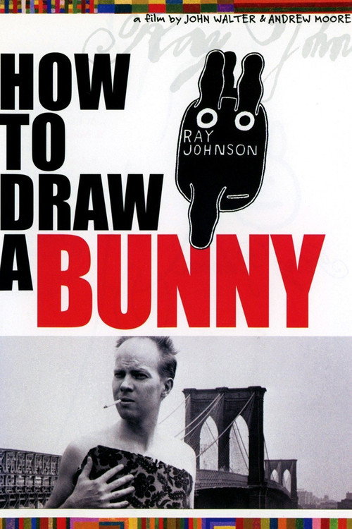 How to Draw a Bunny постер