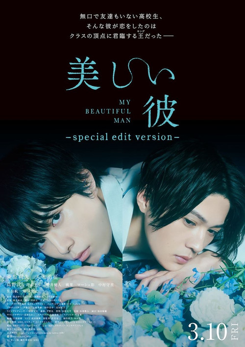 美しい彼～special edit version～ постер