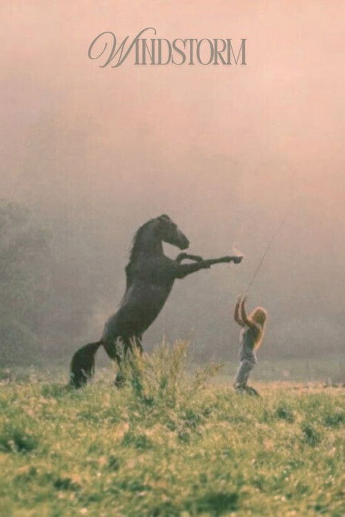 Windstorm постер