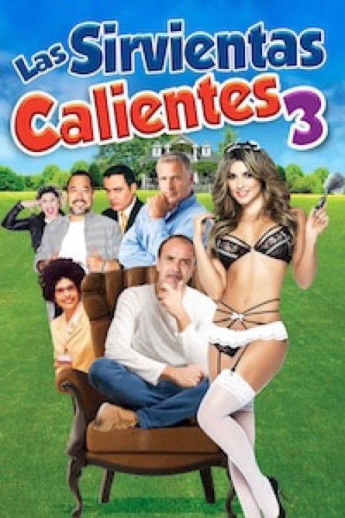 Las sirvientas calientes 3 постер