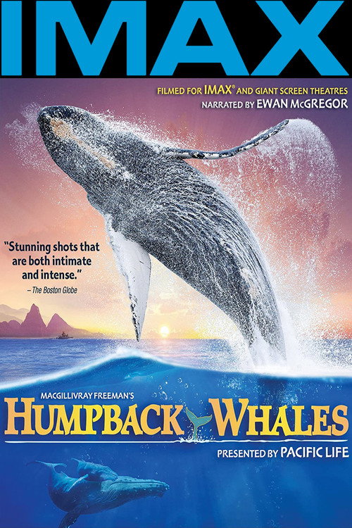 Humpback Whales постер
