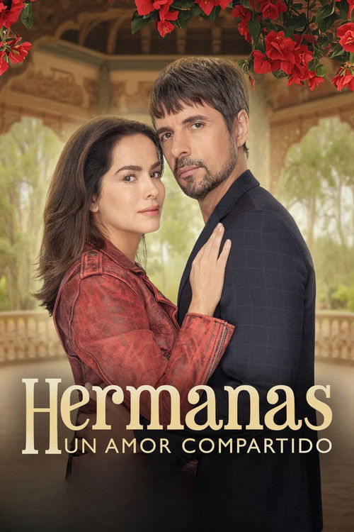 Hermanas, un amor compartido постер