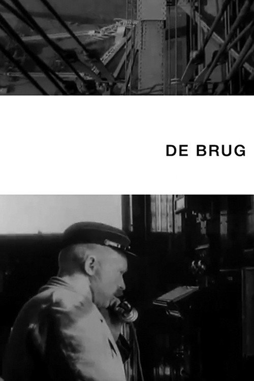 De brug постер