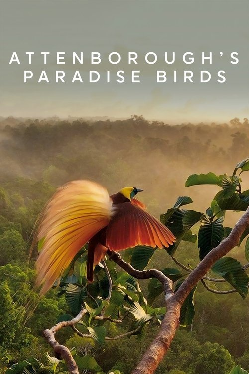 Attenborough's Paradise Birds постер