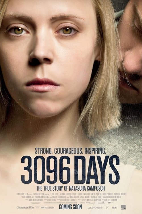 3096 Days постер