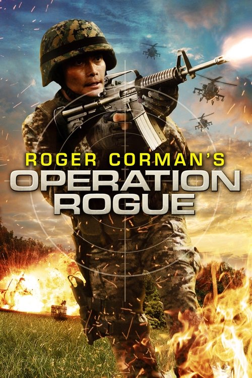 Operation Rogue постер