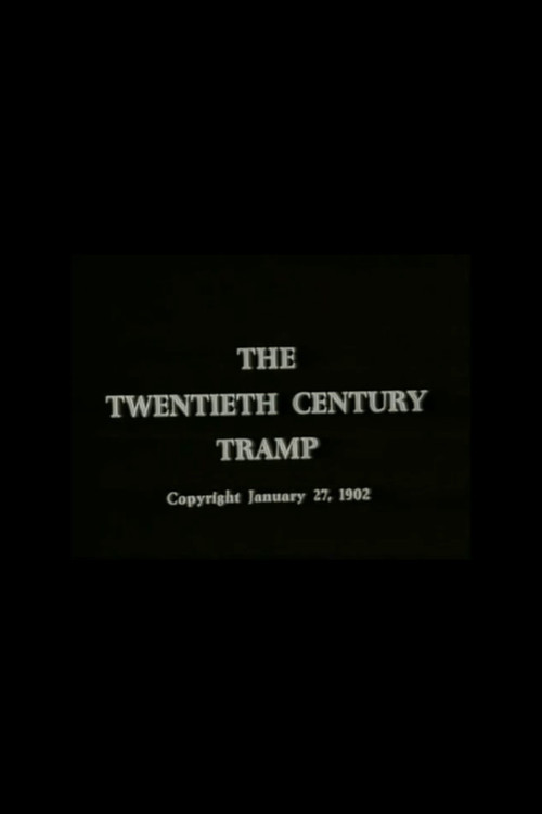 The Twentieth Century Tramp; or, Happy Hooligan and His Airship постер