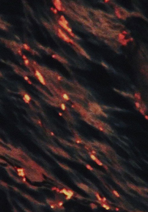 L'Eau de la Seine постер