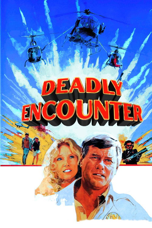 Deadly Encounter постер