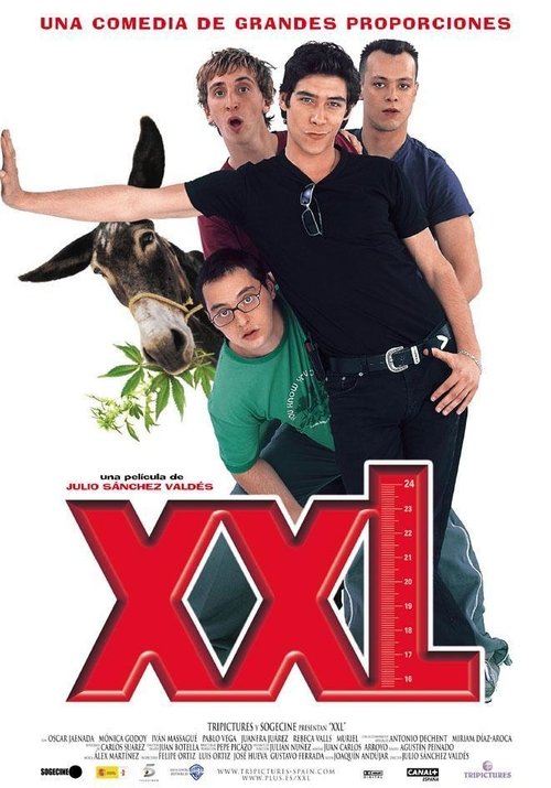 XXL постер
