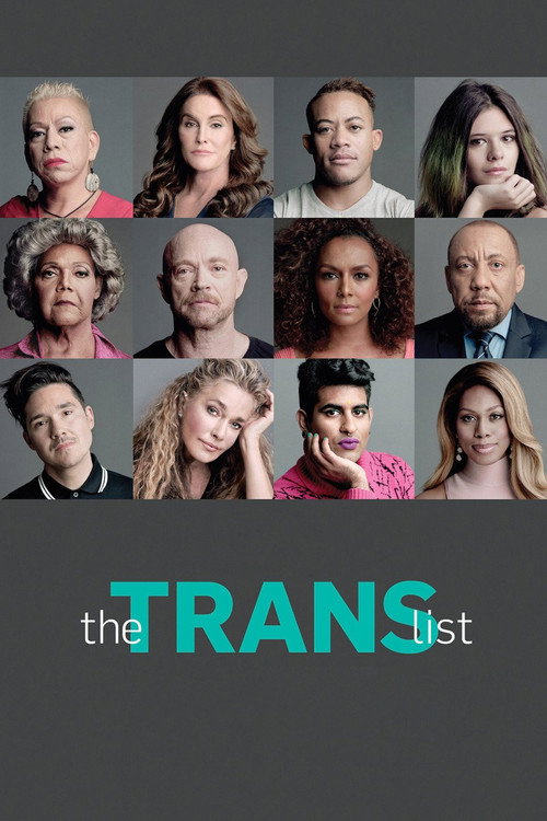 The Trans List постер