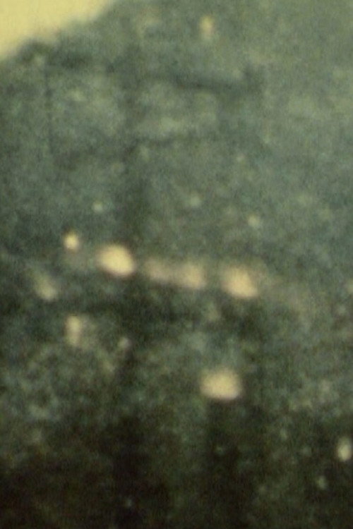 Song 28 постер