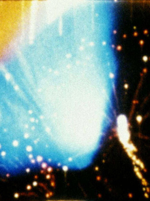 Looking for Mushrooms постер