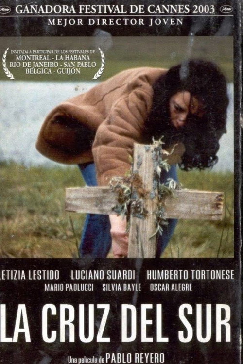 La cruz del sur постер