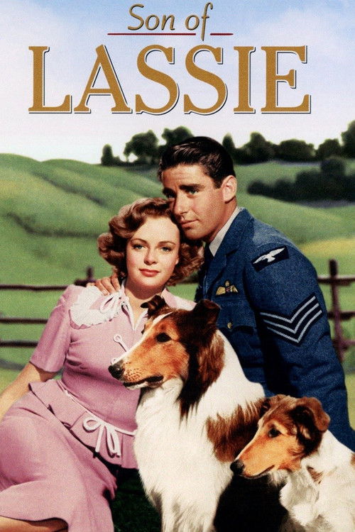 Son of Lassie постер