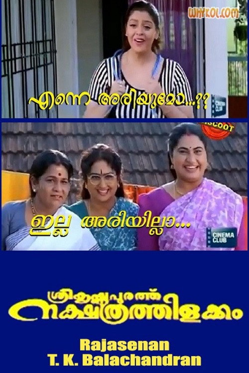 ശ്രീകൃഷ്ണപുരത്ത് നക്ഷത്രത്തിളക്കം постер
