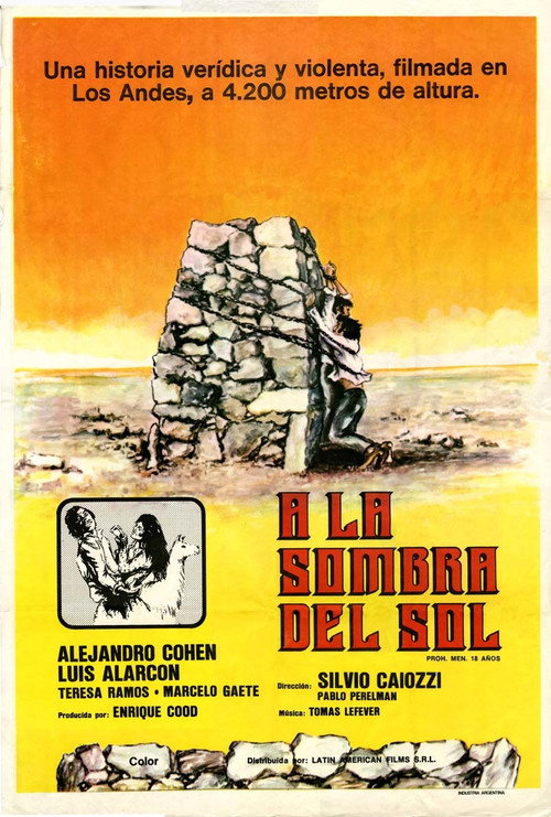 A la sombra del sol постер