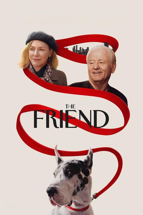 The Friend постер