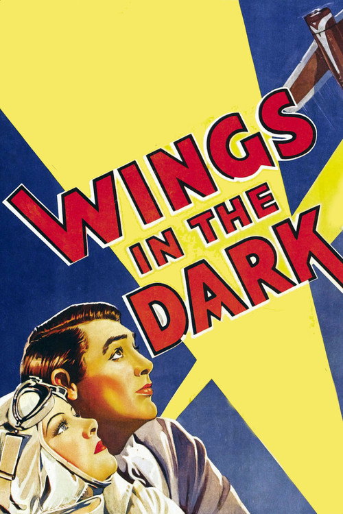 Wings in the Dark постер