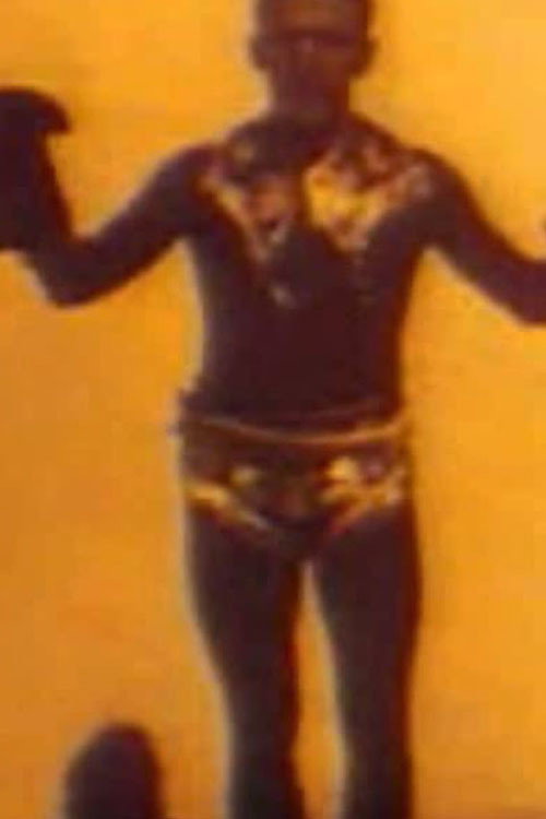 Wintergartenprogramm постер